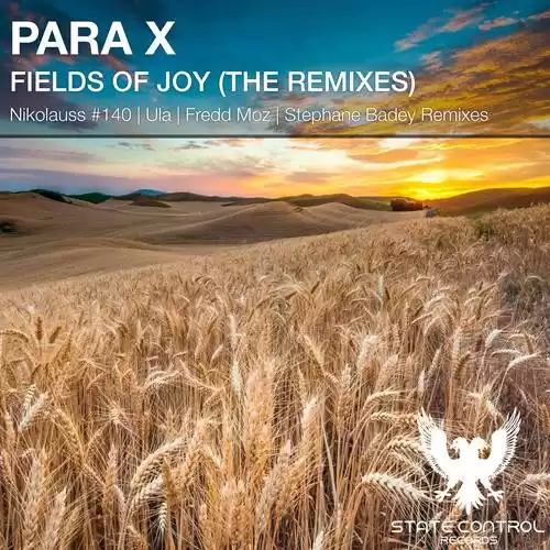 Fields Of Joy The Remixes Artwork 500