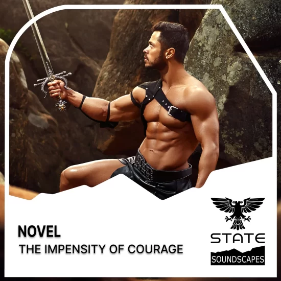 Novel - The Impensity Of Courage